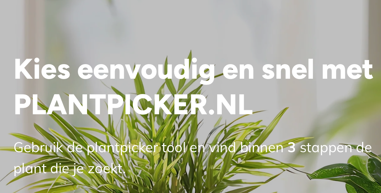 Zo kies je eenvoudig de juiste plant