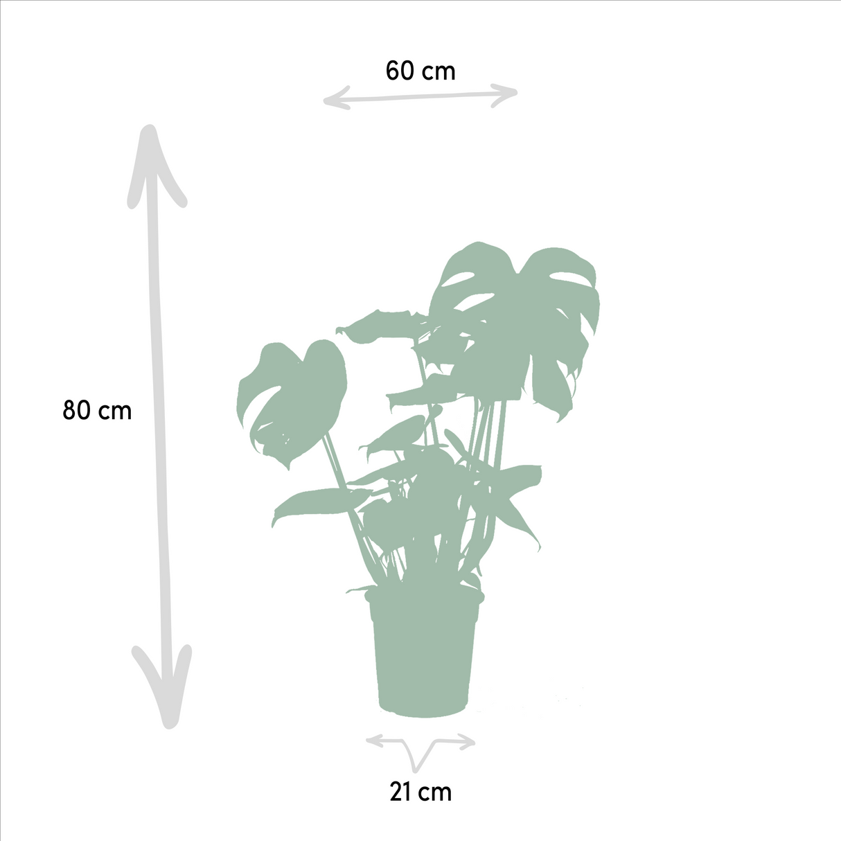 Urban Jungle Set (3 stuks)