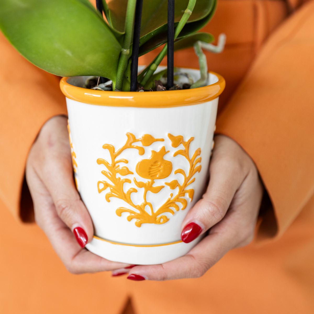 Plantenset met 2 oranje Phalaenopsis Orchideeën
